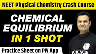 CHEMICAL EQUILIBRIUM in One Shot  All Concepts Tricks amp PYQs  Class 11  NEET [upl. by Ahrat]