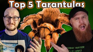 Top 5 BEST Tarantulas  Featuring The Tarantula Collective [upl. by Miltie]