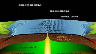 Expansion des fonds océaniques [upl. by Auos808]