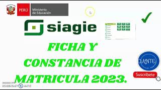 FICHA Y CONSTANCIA DE MATRICULA 2023 [upl. by Ardnuaet]