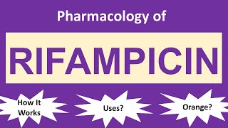 Rifampicin  Mechanism of Action  Clinical Uses  Side Effects [upl. by Nikolos209]