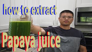 How to Extract Papaya Juice leaves Dengue Malaria Platelet GardenHula [upl. by Ydnyc]