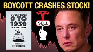 Worldwide Elon Musk Backlash CRASHING Tesla Stock [upl. by Otter]