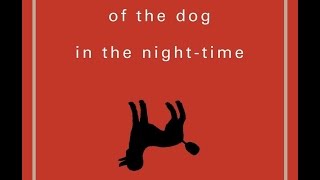 Curious Incident Dog NightTime — Mark Haddon InterviewMp3 Link [upl. by Jillian736]