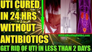 Seven Ways To Treat a UTI Without Antibiotics [upl. by Agler]