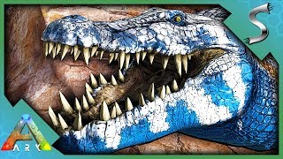 THIS THING IS GIGANTIC TAMING THE DEINOSUCHUS  Ark Survival Evolved Cluster E116 [upl. by Ahsimit]