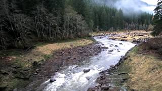 The Hemlock Dam Removal Story  Columbia Basin Restoration [upl. by Sully]