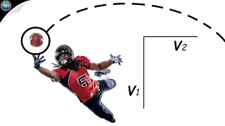 Projectile Motion amp Parabolas Science of NFL Football [upl. by Ivanna687]