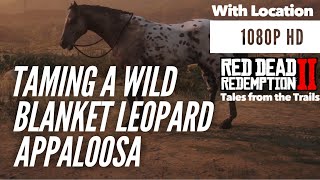 Red Dead Redemption 2 Wild Blanket Leopard Appaloosa  Location  1080p HD PS4 Pro  RDR2 [upl. by Lili]