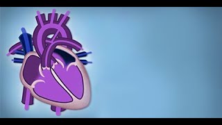 Fetal Circulation by L McCabe  OPENPediatrics [upl. by Ihp493]