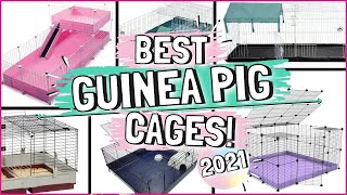 The 6 BEST Indoor Guinea Pig Cages [upl. by Gaskin395]