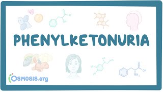 Phenylketonuria  causes symptoms diagnosis treatment pathology [upl. by Lyrac]