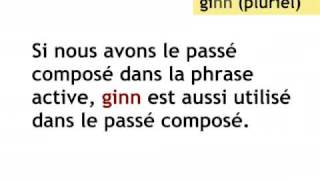 Le Passif Leçon de luxembourgeois [upl. by Urita]