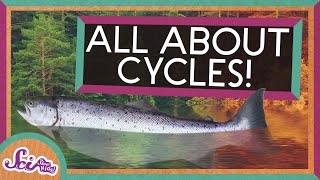 From Seasons to Salmon All About Cycles  SciShow Kids Compilation [upl. by Ilyk91]