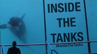 Inside The Tanks Full Documentary [upl. by Pollerd]