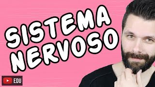 SISTEMA NERVOSO  FISIOLOGIA  Aula  Biologia com Samuel Cunha [upl. by Farny239]