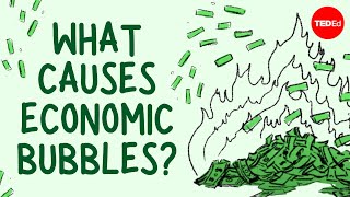 What causes economic bubbles  Prateek Singh [upl. by Zaob]