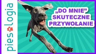 quotDo mniequot Nauka skutecznego przywołania [upl. by Aihsaei]