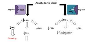 Asprin NSAID  Mechanism of Action antiinflammatory action [upl. by Zurek]