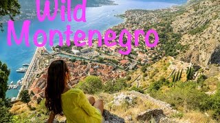 Montenegro Travel Highlights [upl. by Kissee]