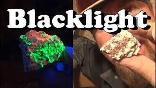 HOW TO FIND GOLD  Using a  BLACK LIGHT  ask Jeff Williams [upl. by Fenella]