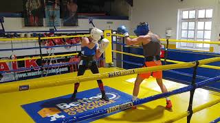 Amateur boxing sparring Round 1 [upl. by Brnaby]