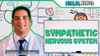 Neurology  Sympathetic Nervous System [upl. by Eniamrehc616]