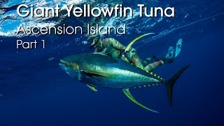 Spearfishing Ascension Island  HUGE Yellowfin Tuna  PART 1 HD [upl. by Pentha721]