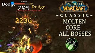 Melee DPS is FUN Molten Core All Bosses Rogue PoV  Classic WoW Gameplay Raid [upl. by Ona]