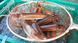 Squid Cutting Skills Squid Sashimi Cold Raw Fish Soup Squid Steamed  Korean Street Food [upl. by Ainivad]