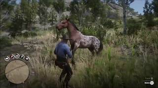 Red Dead Redemption 2 Horseman Challenge 10 Appaloosa [upl. by Luar]