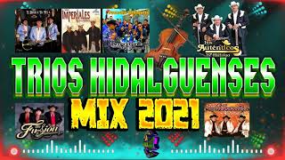 TRIOS DE LA HUASTECA HIDALGUENSES MIX 2021 [upl. by Erihppas]