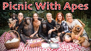 WILD FAMILY PICNIC WITH APES  Myrtle Beach Safari [upl. by Ok372]