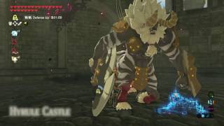 How to Get Lynel Weapons from Hyrule Castle in Zelda Breath of the Wild [upl. by Lenod]