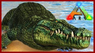 Big Bad Crocodile  Deinosuchus Taming  The Island Map  Ark Survival Evolved Ep 14 [upl. by Ynaiffit]