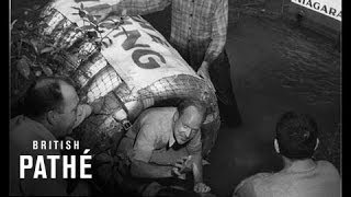 Trip over Niagara Falls in Barrel 1951 [upl. by Sonafets825]