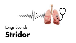 Stridor  Lung Sounds  MEDZCOOL [upl. by Areht]