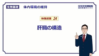 【生物基礎】 体内環境の維持24 肝臓の構造 （１４分） [upl. by Tartan]