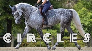 Circles  Equestrian Music Video [upl. by Neeruam]