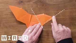 How to Fold Five Incredible Paper Airplanes  WIRED [upl. by Ytsirk]