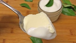 How to Make Yogurt at Home [upl. by Annaierb]