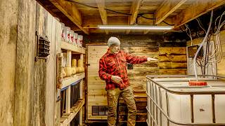 Root Cellar Build Start to Finish amp Tour  Storing Food for 25 Years Off Grid A Years Food for 2 [upl. by Piers]