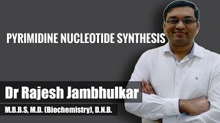 Pyrimidine nucleotide synthesis and degradation [upl. by Clara]