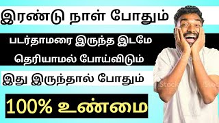 Padarthamarai TREATMENT in TAMIL  Padarthamarai Marundhu in TAMIL  RINGWORM [upl. by Findlay]