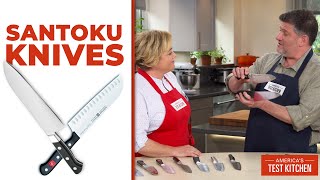 The Best Santoku Knives [upl. by Ikcaj759]