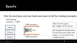 Epoch Batch Batch Size amp Iterations [upl. by Nyleve]