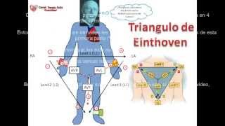 1 Sistema de mando del Corazon y el Triangulo de Einthoven el secreto del ECG [upl. by Akimrehs53]