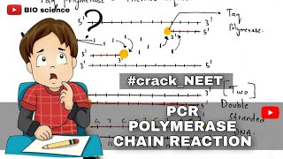 Polymerase chain reaction  PCR  Denaturation  Annealing  Extension  Bio science [upl. by Enomal850]