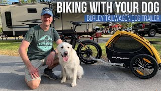 Burley TailWagon Dog Trailer Review  Rad Power Bikes EP 56 [upl. by Basilio]