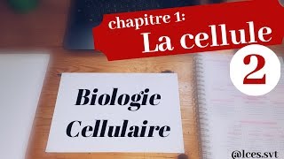 Chapitre 1  La cellule  les eucaryotes [upl. by Richmond]